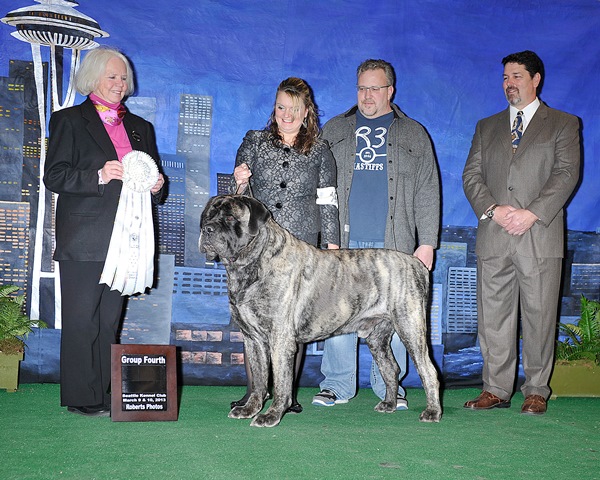 Group Fourth at 2013 Seattle Kennel Club