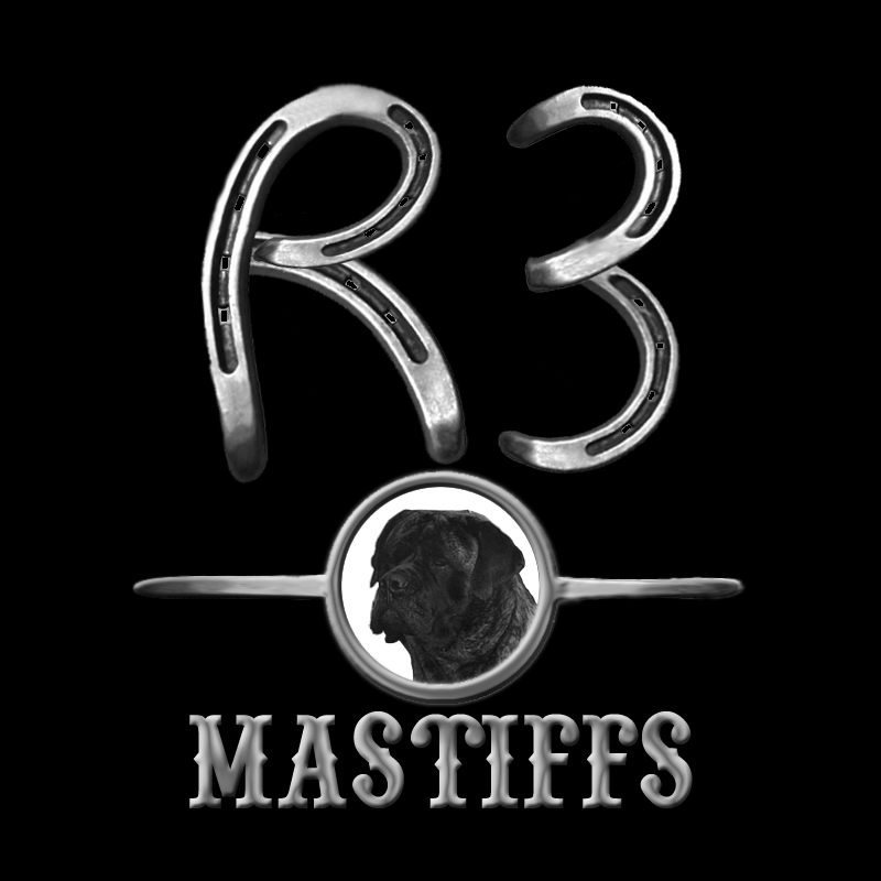R3 Mastiffs