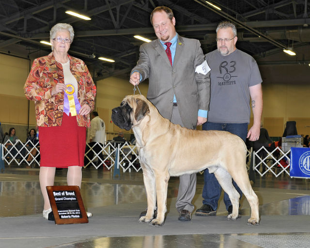 BOB and GCH at Vancouver