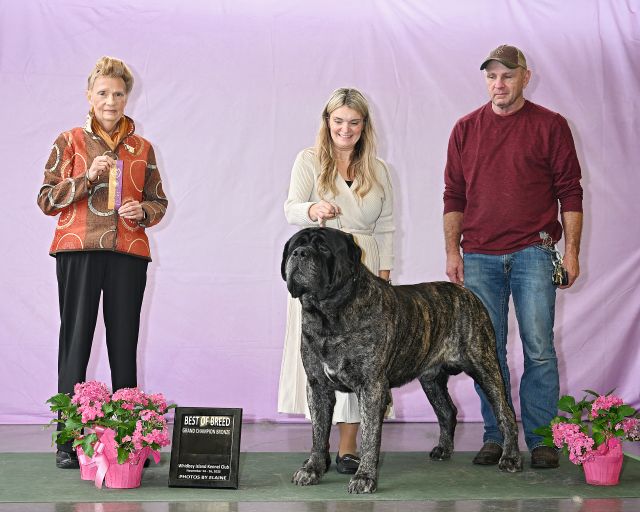 Bronze Grand Champion