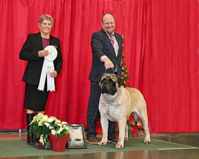 Group 4 Great Clark County