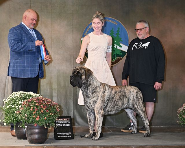 Best Opposite Evergreen Colorado KC