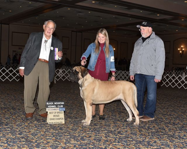 Bronze Grand Champion